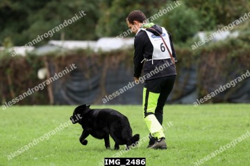 IMG_2486.jpg