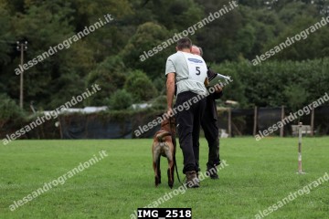 IMG_2518.jpg