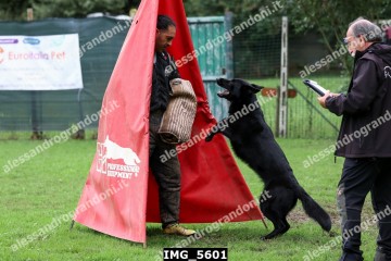 IMG_5601.jpg