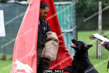 IMG_5612.jpg