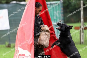 IMG_5674.jpg