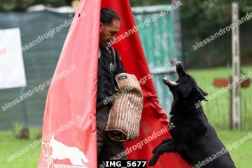 IMG_5677.jpg