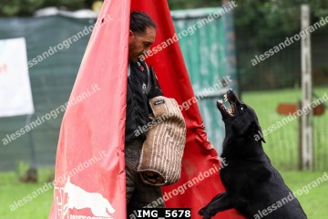 IMG_5678.jpg