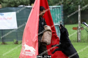IMG_5744.jpg