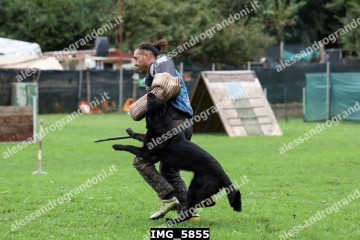 IMG_5855.jpg