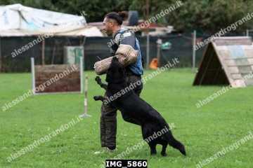 IMG_5860.jpg