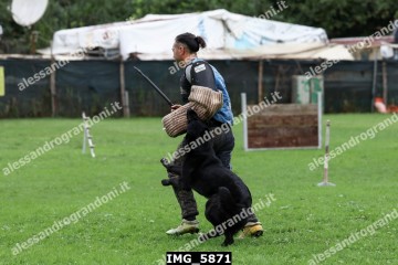 IMG_5871.jpg