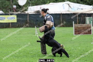 IMG_5875.jpg
