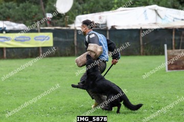 IMG_5878.jpg