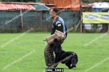 IMG_5881.jpg
