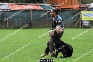 IMG_5884.jpg