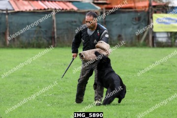 IMG_5890.jpg
