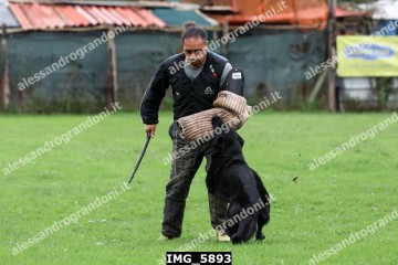 IMG_5893.jpg