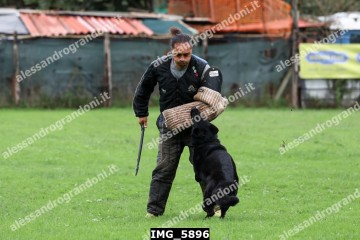 IMG_5896.jpg