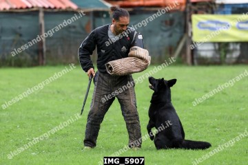IMG_5907.jpg