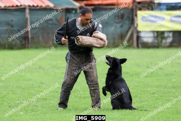 IMG_5909.jpg