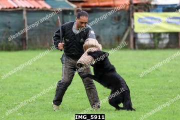 IMG_5911.jpg