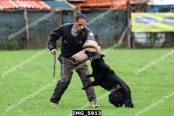 IMG_5913.jpg