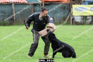 IMG_5916.jpg