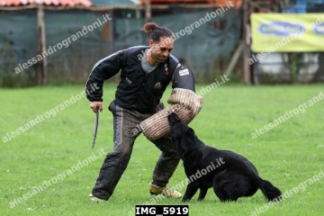 IMG_5919.jpg