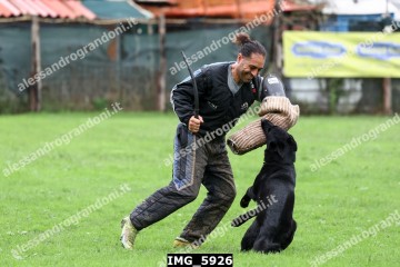 IMG_5926.jpg