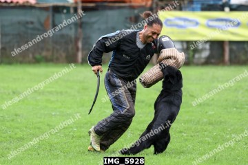IMG_5928.jpg
