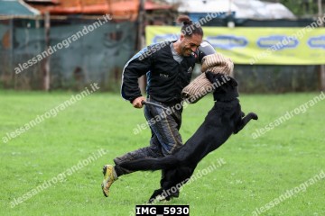 IMG_5930.jpg