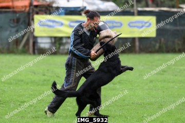 IMG_5932.jpg