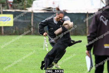 IMG_5935.jpg