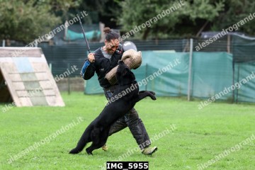IMG_5955.jpg