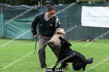 IMG_5974.jpg