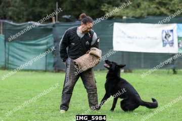 IMG_5984.jpg
