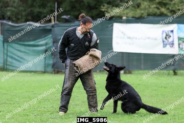 IMG_5986.jpg