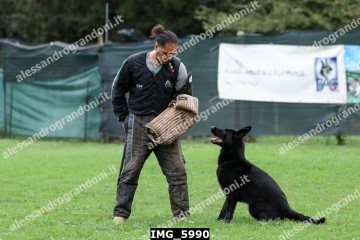 IMG_5990.jpg