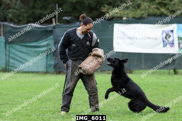 IMG_6011.jpg