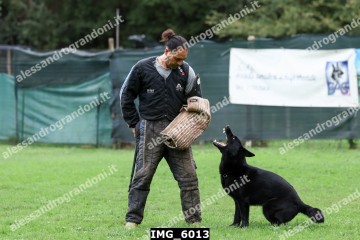 IMG_6013.jpg