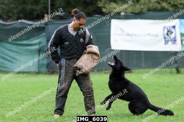 IMG_6039.jpg
