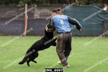 IMG_6097.jpg