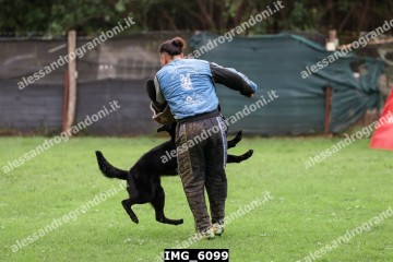 IMG_6099.jpg