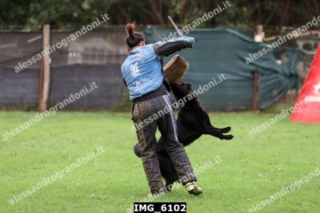 IMG_6102.jpg