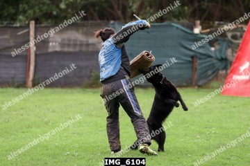 IMG_6104.jpg