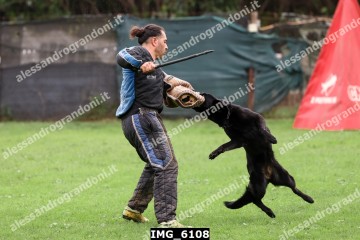 IMG_6108.jpg