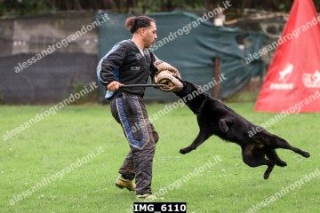 IMG_6110.jpg