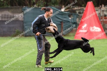 IMG_6114.jpg