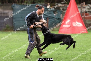 IMG_6116.jpg