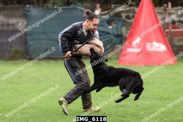 IMG_6118.jpg