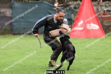 IMG_6121.jpg