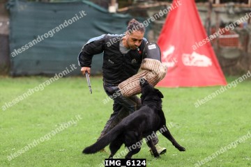 IMG_6124.jpg