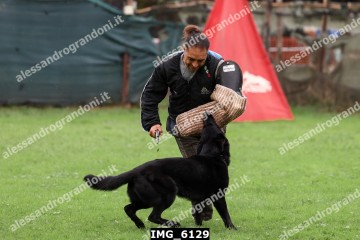 IMG_6129.jpg