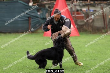 IMG_6132.jpg